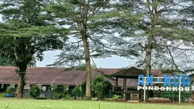 Photo of Silaturahmi dan Penyerahan Santri Baru Ponpes An-Nur