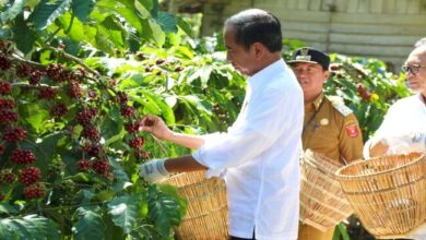 Photo of Jokowi Akan Distribusikan Alkes