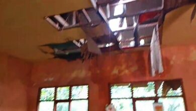 Photo of Pohon Kelapa Tumbang Timpa Gedung SDN 2 Merambung Kecamatan Tanjung Raja