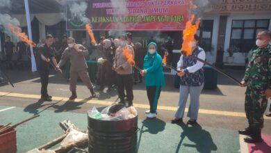 Photo of Kejari Kotabumi Musnahkan Ratusan Barang Bukti dari Kasus Inkrah, Didominasi Narkotika