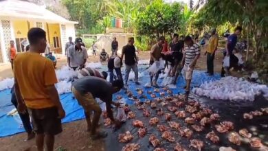 Photo of Warga Kampung Candi Rejo Lampung Tengah Laksanakan Shalat Idul Adha dan Sembelih 9 Hewan Kurban