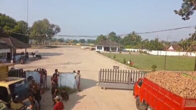 Photo of PT TWBP Kembali Beroperasi di Blambangan, Petani Keluhkan Potongan Harga Singkong Tak Sesuai Arahan Gubernur