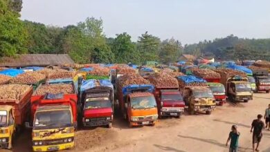 Photo of PT Teguh Wibawa Bhakti Persada Kembali Beroperasi, Petani Singkong Keluhkan Potongan Harga